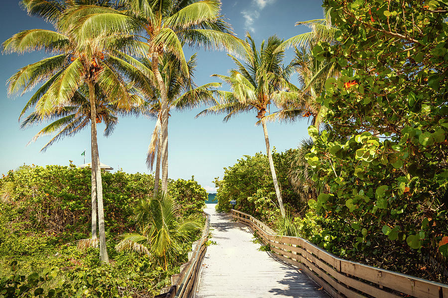 Florida, South Florida, Singer Island, Ocean Reef Park, Entrance Digital Art by Laura Diez