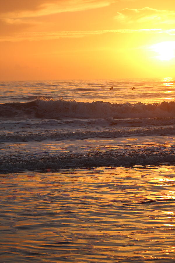 FLORIDA Sunrise Over The Atlantic Ocean Photograph by M E