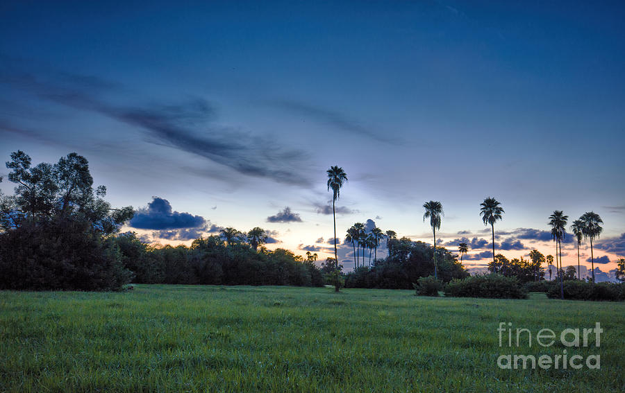 Florida Sunset Photograph by Felix Lai