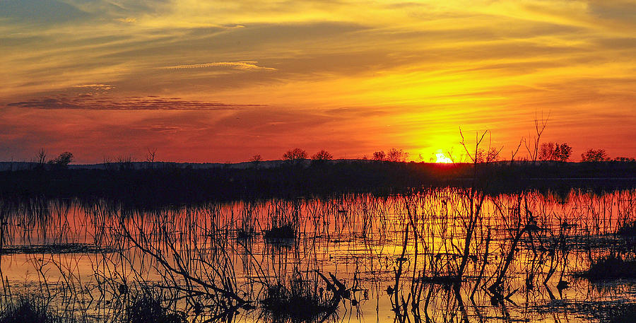 Florida Sunset over Lake Apopka Photograph by Gene Bollig