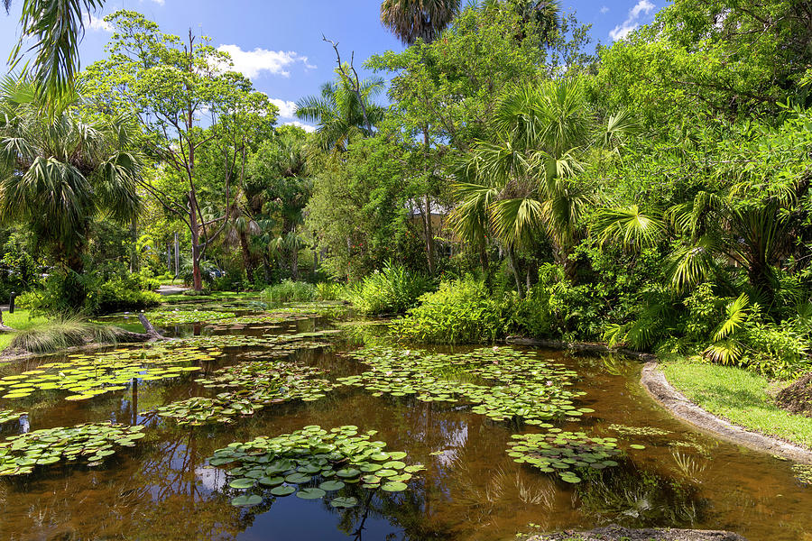 Florida, Vero Beach, Mckee Botanical Gardens Digital Art by Laura Diez ...