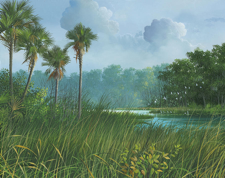 Florida's Back Country by Mike Brown Florida's Back Country by Mike Brown