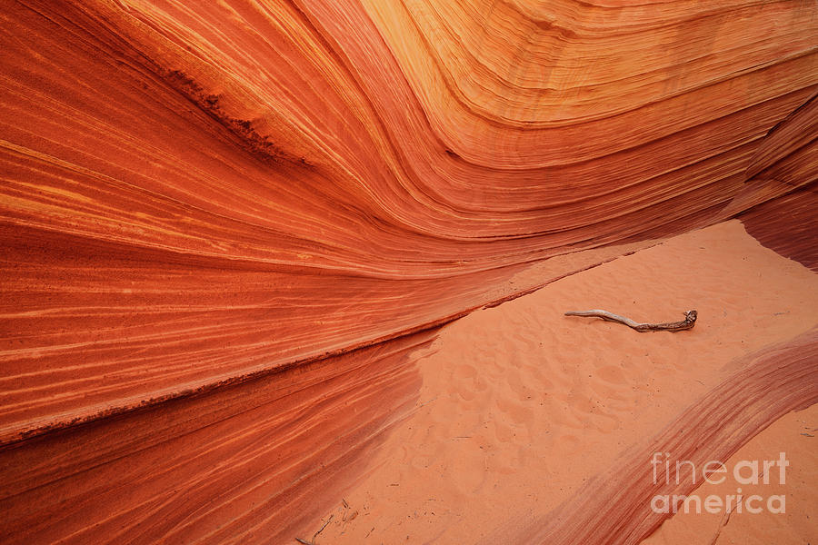 Sandstone Patterns at The Wave in Arizona Photograph by Tom Schwabel