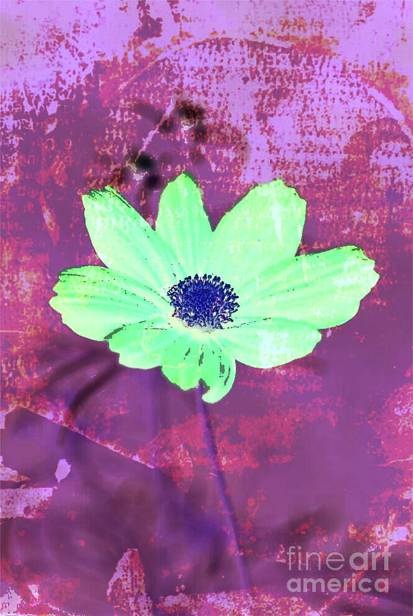 Flower 2918 by Ron Labryzz Flower 2918 by Ron Labryzz