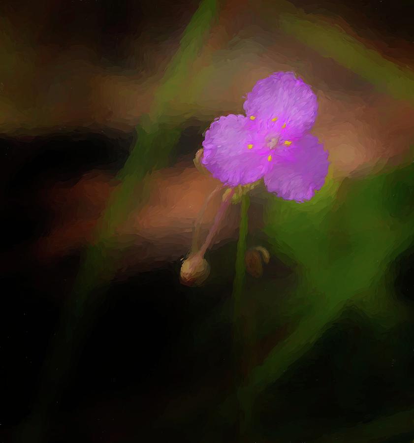Flower Along the Hiking Trail Digital Art by Steve DaPonte