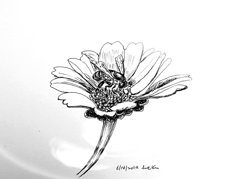 Flower and bee Drawing by Hae Kim