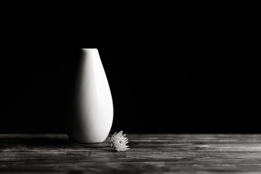 Vase Photograph - Flower And Vase by Dušan Ljubi?i?