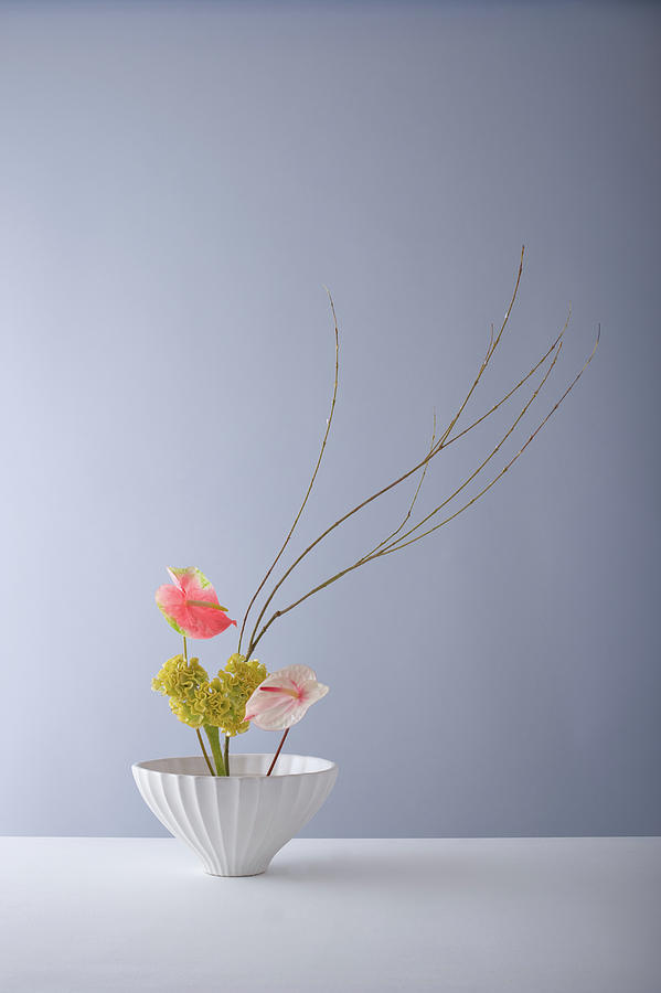 Flower Arrangement,space Of Photograph by Ryouchin