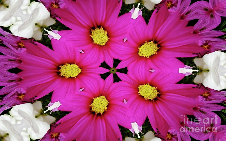 Flower Art Digital Art by D Hackett