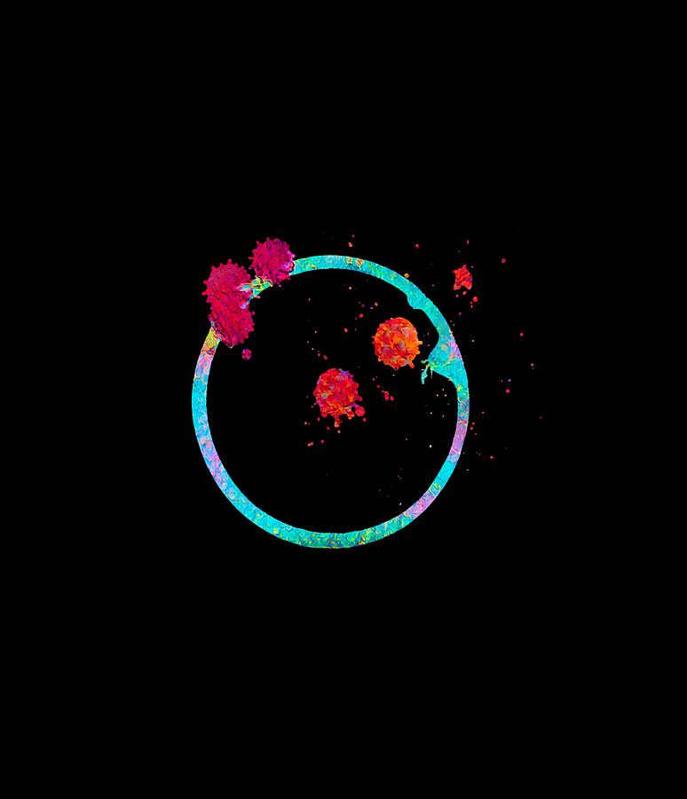 Flower Ball Crazy Digital Art by Kandy Hurley