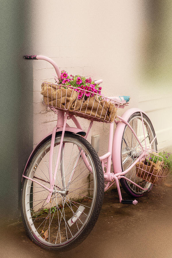 Flower bike Photograph by Bets Wilson - Fine Art America