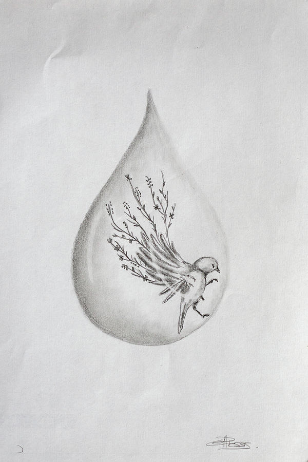 Flower Bird In Water Drop Drawing By Chelaine Du Plessis