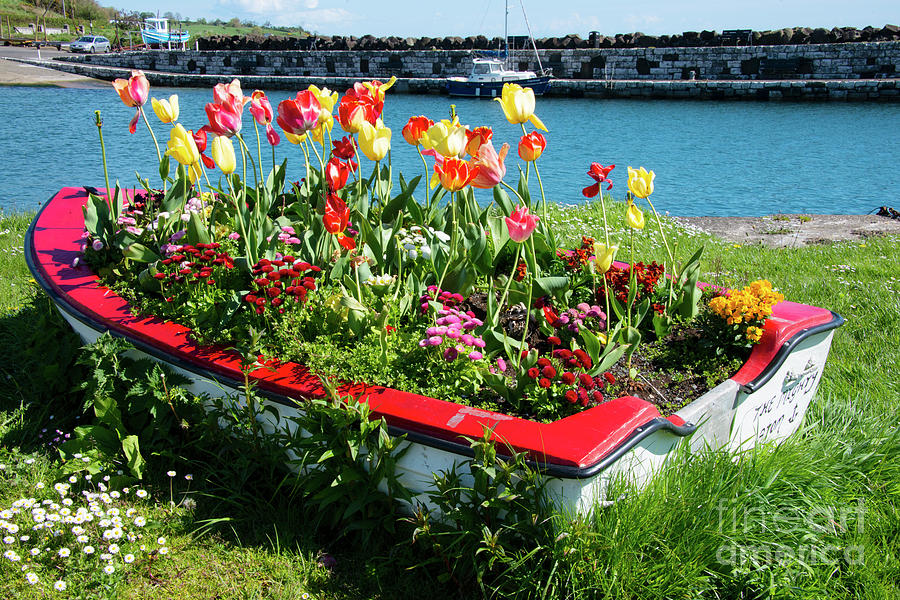 Flower Boat Photograph by Bob Phillips