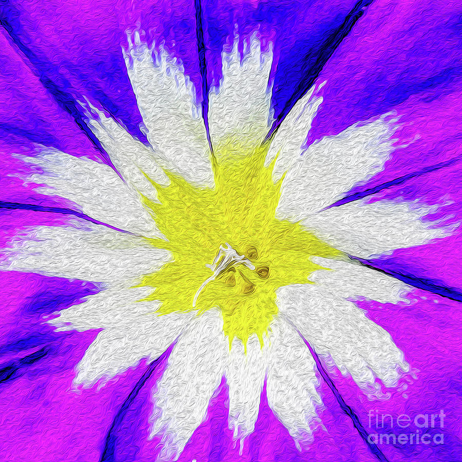 Flower Burst Digital Art by Kenneth Montgomery