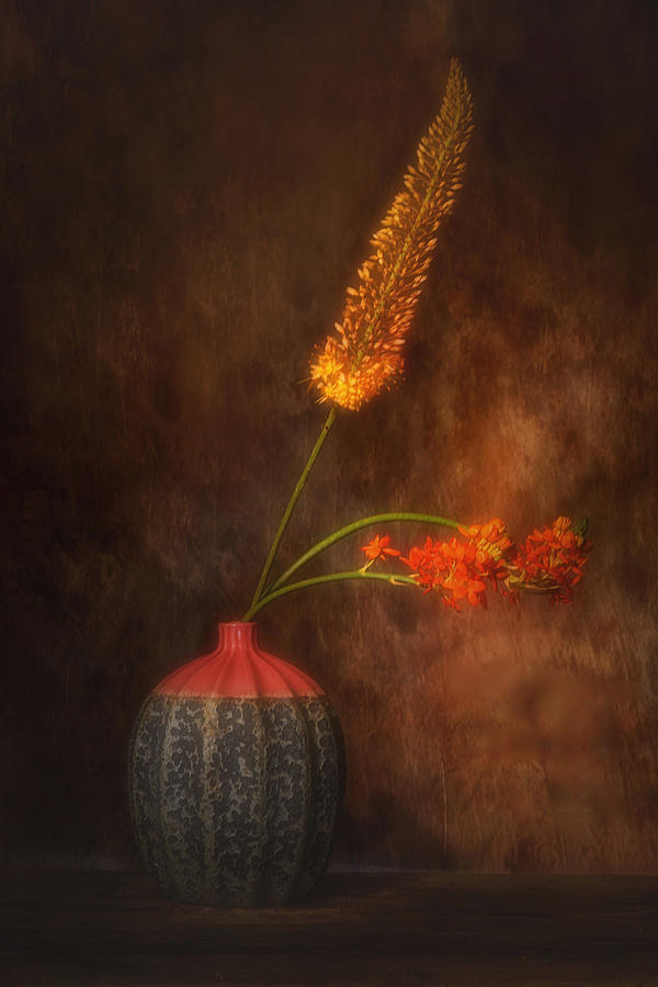 Flower Dream Photograph by Saskia Dingemans