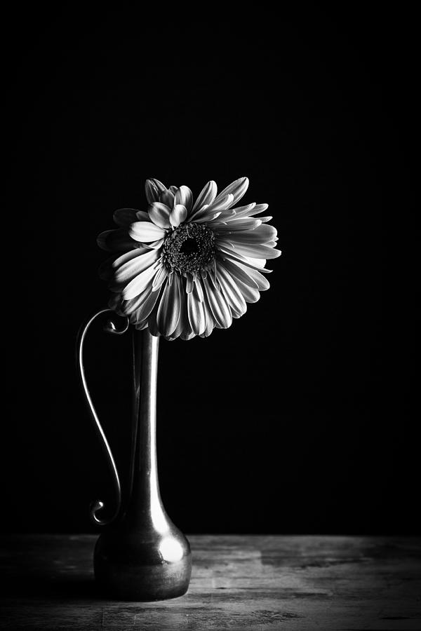 Flower Photograph by Dusan Ljubicic