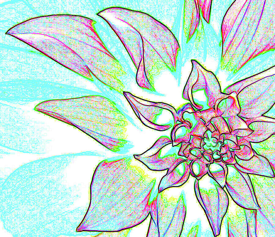 Flower exp 2 Digital Art by Bruce IORIO