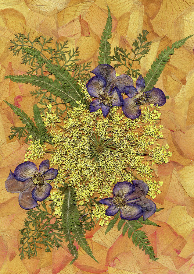 Delphinium Painting - Flower Fantasy 20 by Dryflowersart