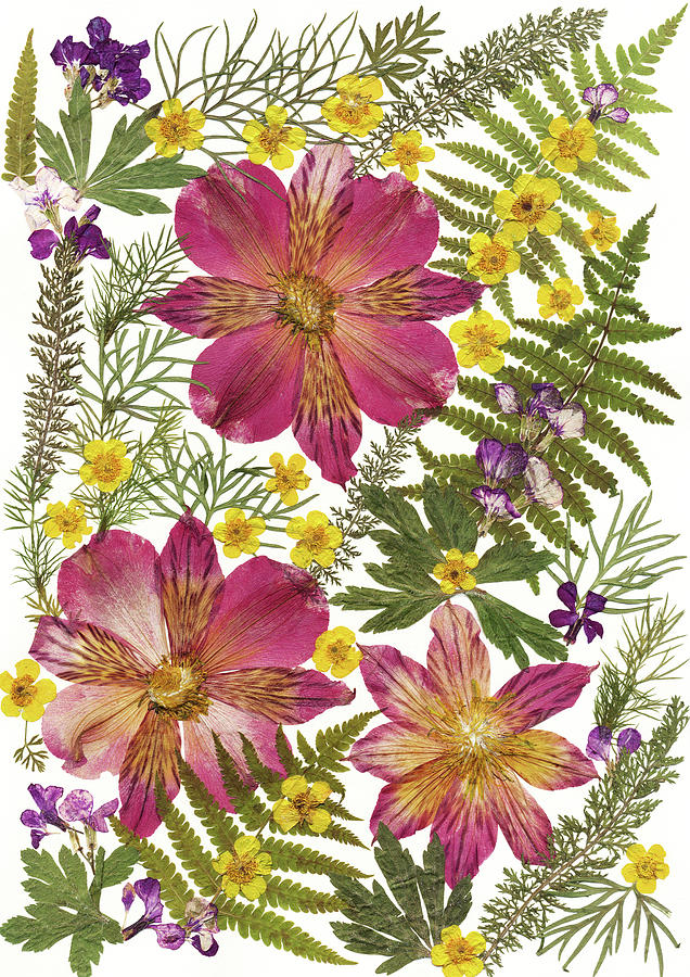 Flower Painting - Flower Fantasy 31 by Dryflowersart