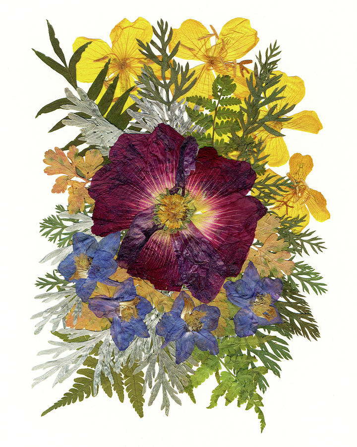Malva Painting - Flower Fantasy 36 by Dryflowersart