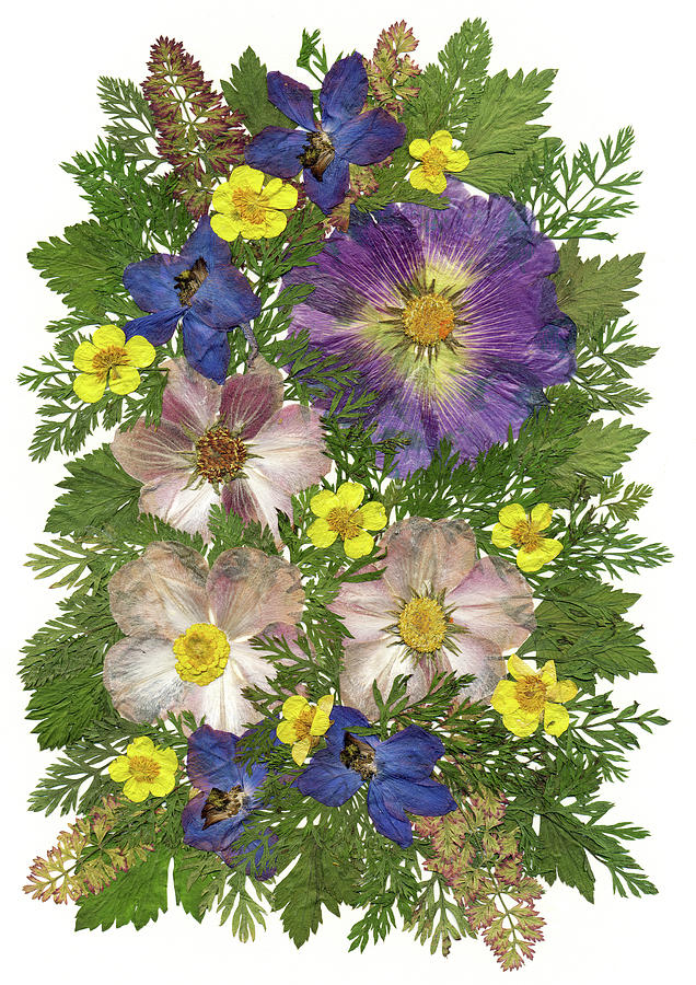 Delphinium Painting - Flower Fantasy 44 by Dryflowersart
