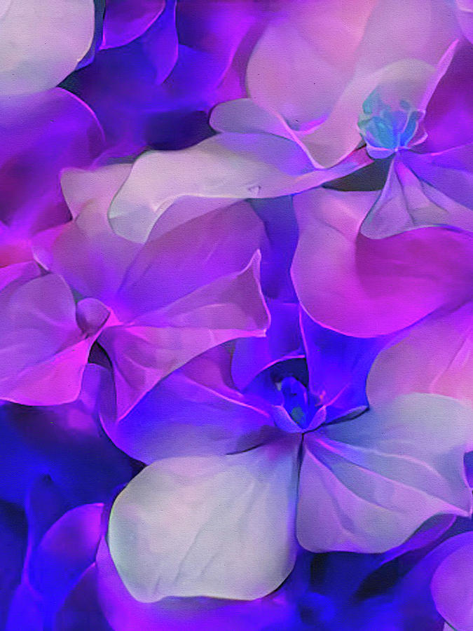 Flower Fantasy - Hydrangea Mixed Media by Klara Acel