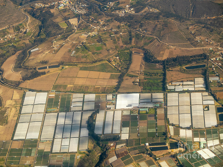Flower Farm Greenhouses In Ecuador Photograph by Dr Morley Read/science Photo Library