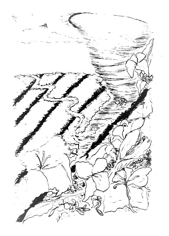 Flower Farmers Tornado PAINT MY SKETCH Drawing by Delynn Addams