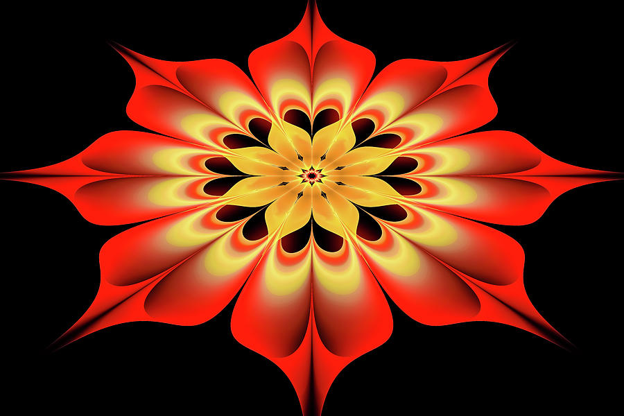 Flower Fractal Red and Orange Digital Art by Matthias Hauser