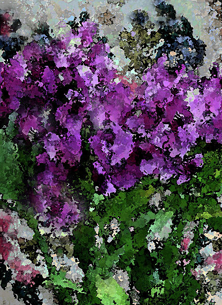 Flower Garden of Purple Blooms Photograph by Corinne Carroll