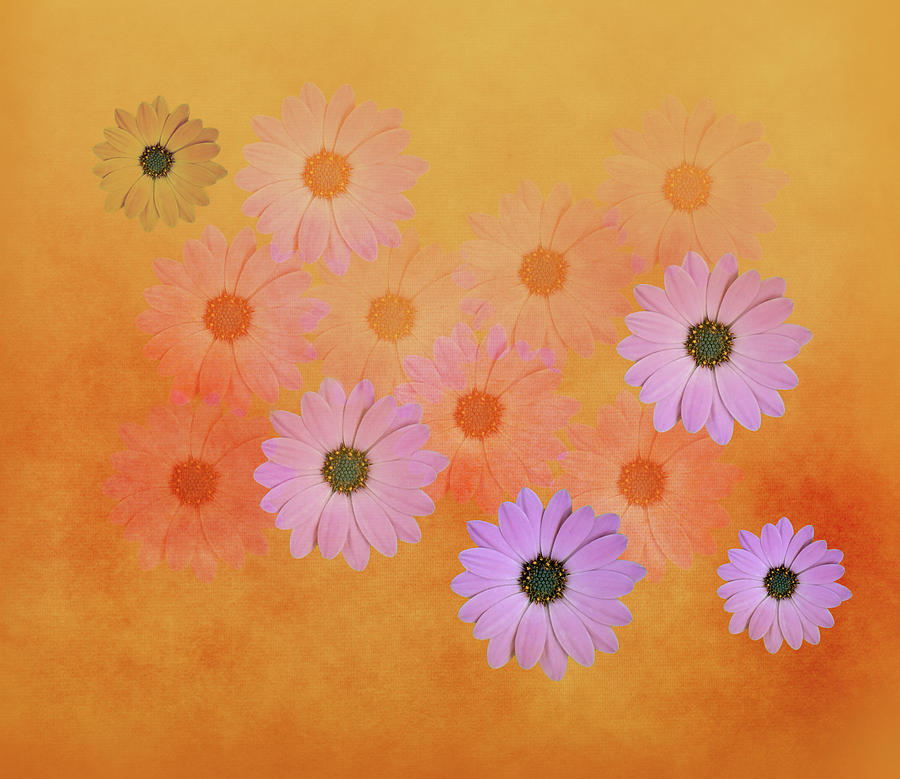 Flower Harmony Yellow Theme Mixed Media by Johanna Hurmerinta