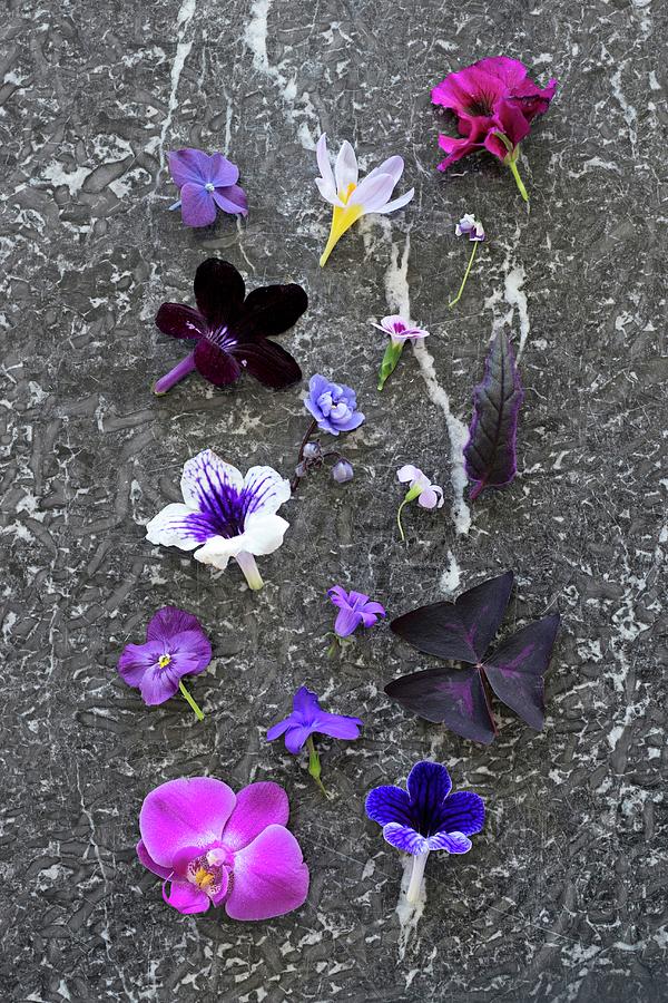 Flower Heads In Various Shades Of Pink And Purple Arranged On Stone Slab Photograph by Cecilia Mller