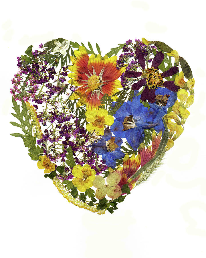 Heart Painting - Flower Heart 1 by Dryflowersart