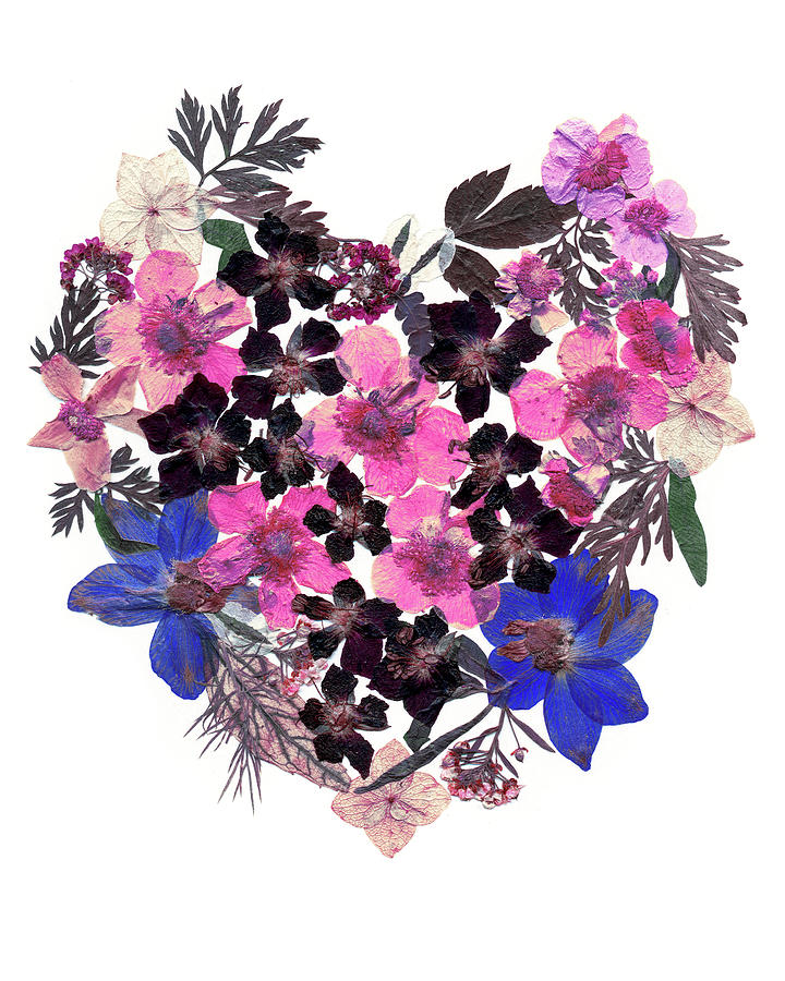 Delphinium Painting - Flower Heart 2 by Dryflowersart