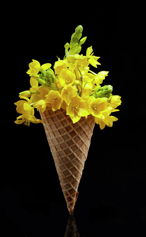 Flower Ice Cream Cone Photograph by Shana Novak