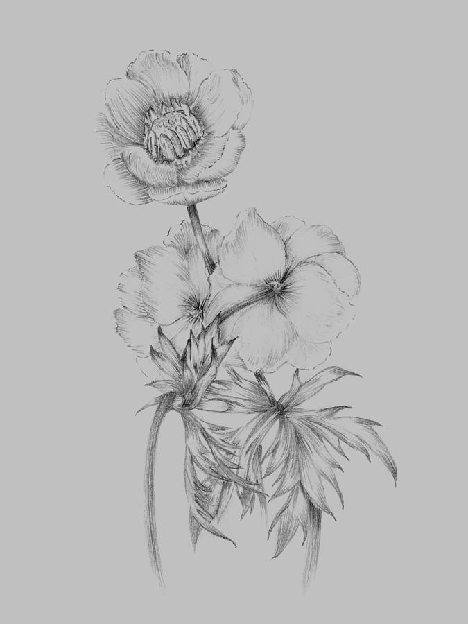 Flower Mixed Media - Flower Illustration II by Naxart Studio
