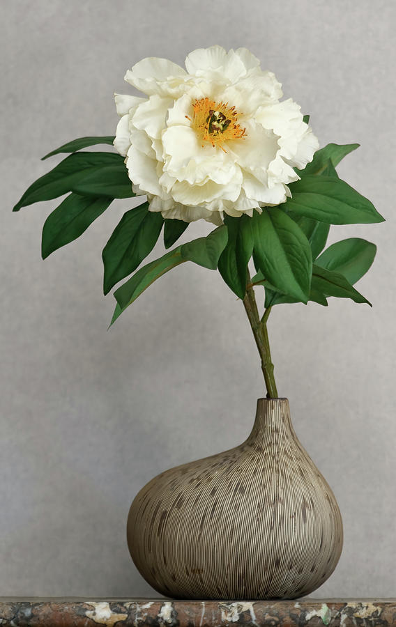 Flower in Vase Photograph by Jean-Pierre Ducondi
