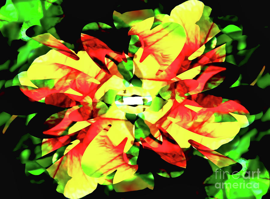 Flower Kaleidoscope Digital Art by D Hackett