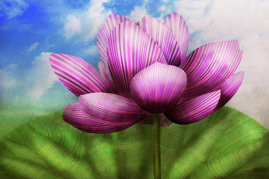 Flower - Lotus - The symbol of Purity Photograph by Mike Savad