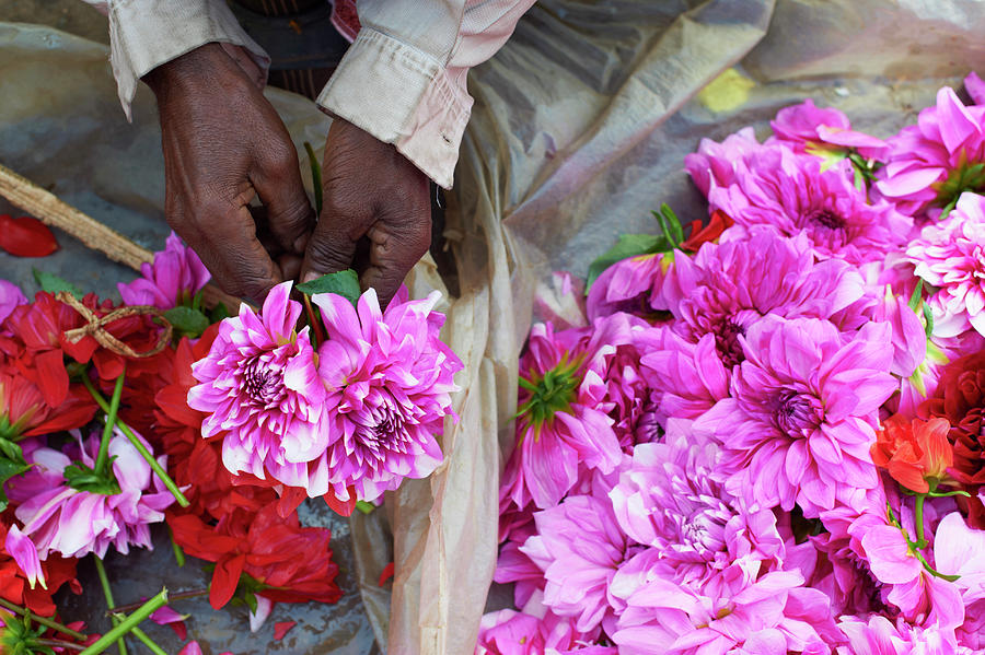 Flower Market, Kolkata, India Digital Art by Tuul & Bruno Morandi