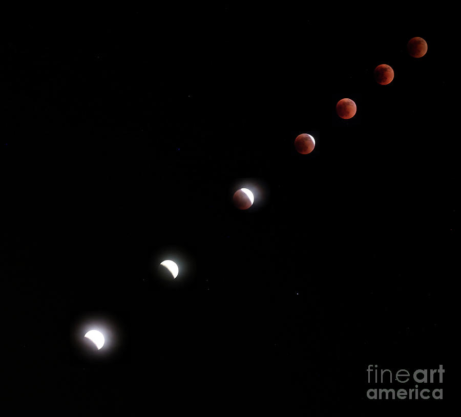 Flower Moon Lunar Eclipse 2022 Photograph by Nasa/michael Democker/science Photo Library