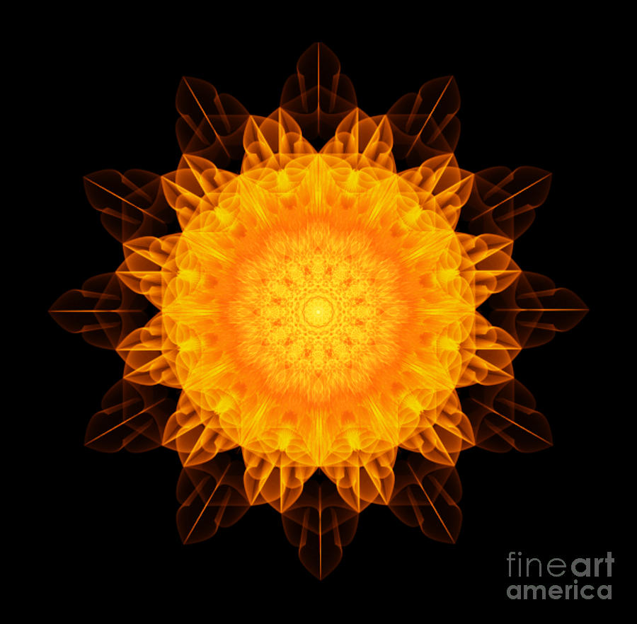 Flower of Abundance Sacred Geometry by Nathalie DAOUT Flower of Abundance Sacred Geometry by Nathalie DAOUT