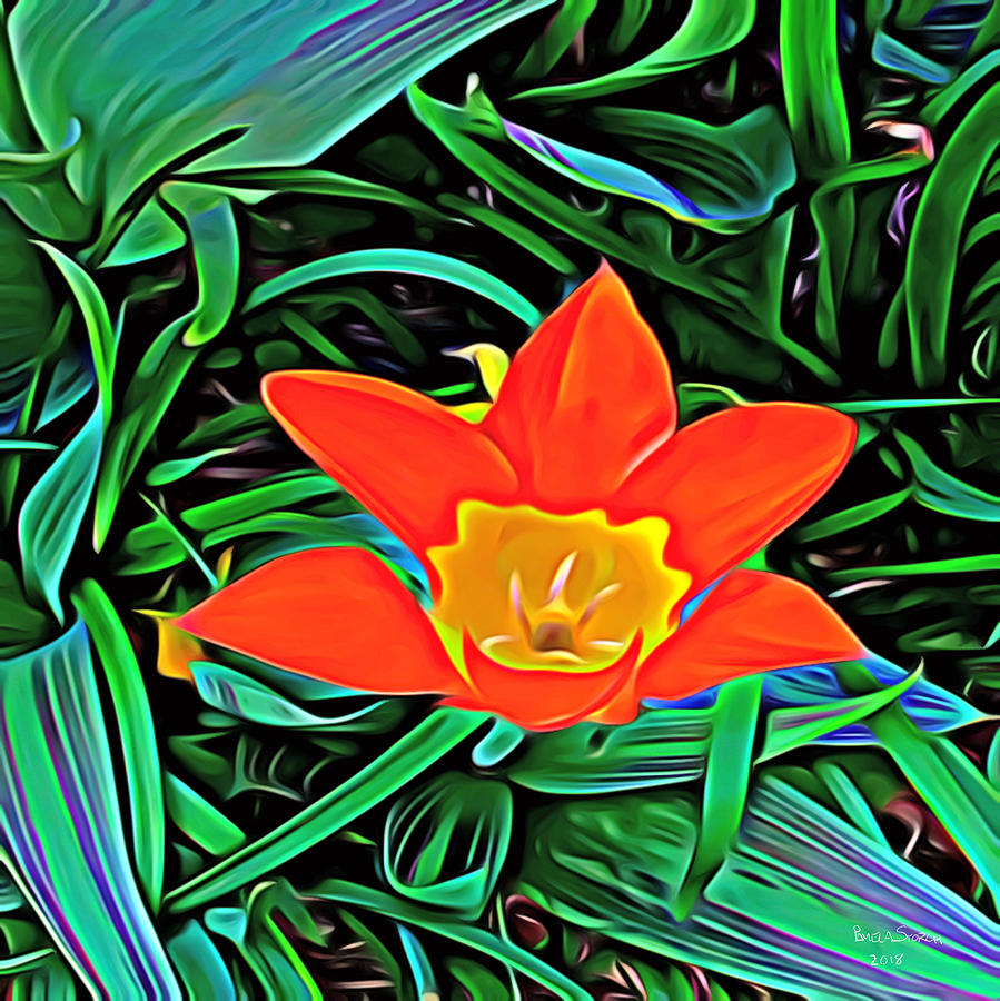 Nature Digital Art - Flower of Enchanted Orange Flow by Pamela Storch