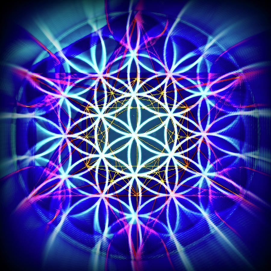 Flower of Life Photograph by Zeitlin Giffen