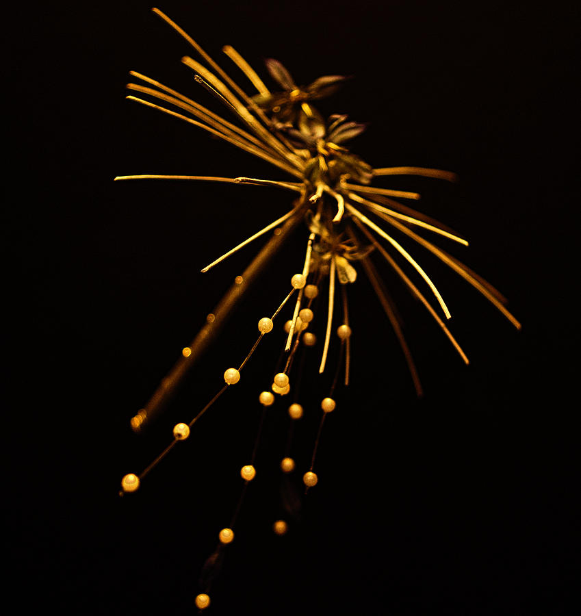 Flower Ornament by Suguna Ganeshan Flower Ornament by Suguna Ganeshan