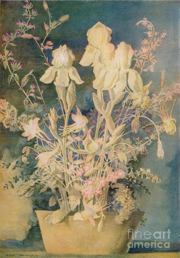 Flower Painting By George Sheringham Drawing by Print Collector