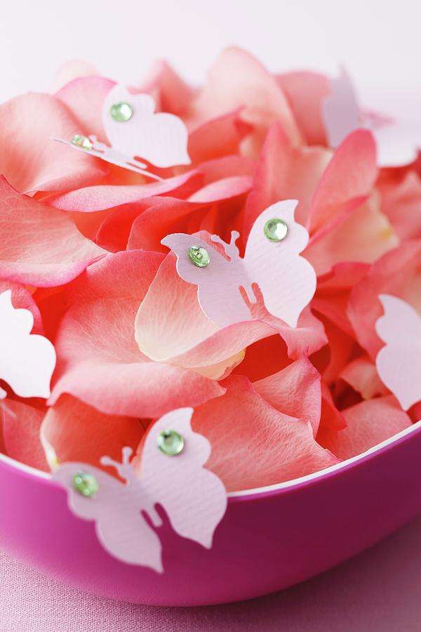 Flower Petals And Decorative Butterflies In A Bowl Photograph by Taube, Franziska