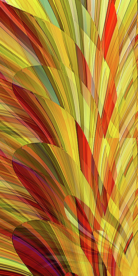 Flower Petals Digital Art - Flower Petals by David Manlove