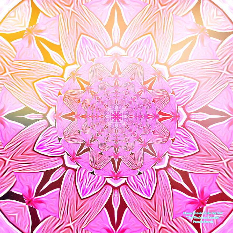 Flower Digital Art - Flower Petals of the 8th Seal The Weakness Remedy by Pamela Storch