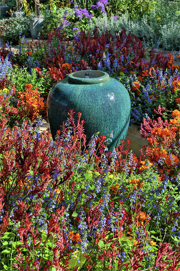 Flower Pot In Field Of Flowers Photograph by Darrell Gulin - Fine Art ...